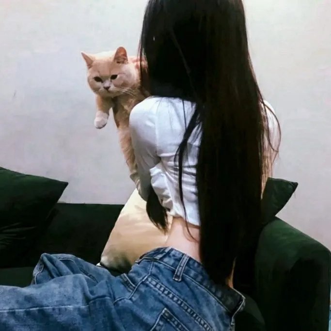 误入君梦