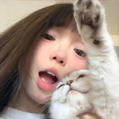 情网